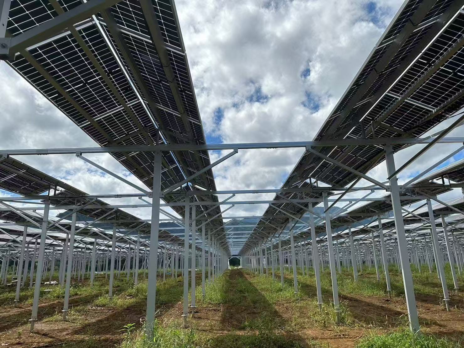 Tarımsal ahır desteğinin avantajları